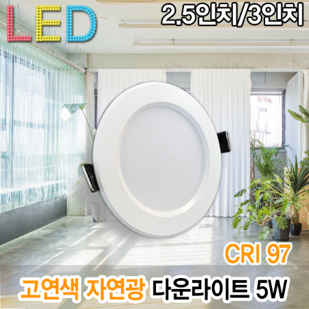 19493 5W 자연광 플리커프리 LED 2.5인치 3인치 CRI97 고연색 AC직결형 75파이 매입등 다운라이트